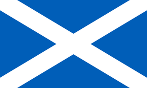 Scotland Loft Insulation Removal